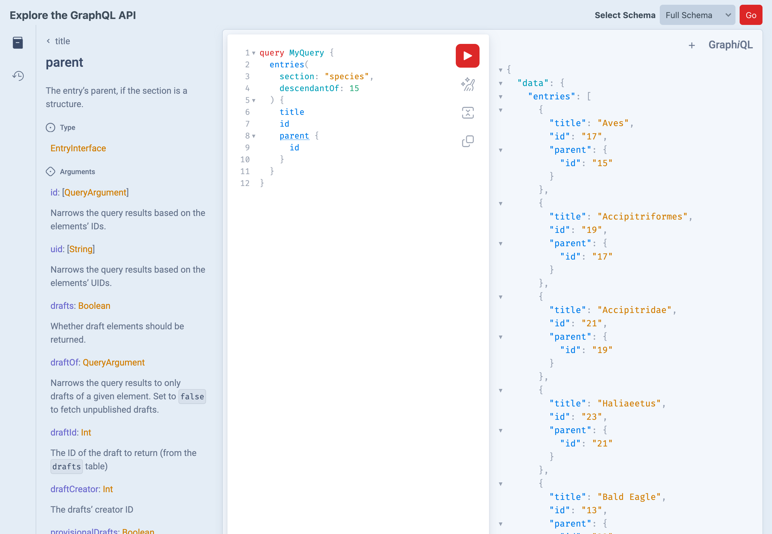 The built-in GraphiQL IDE